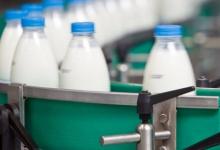 Жирность молока у коровы: определение, способы ее повышения Узнать жирное ли грудное